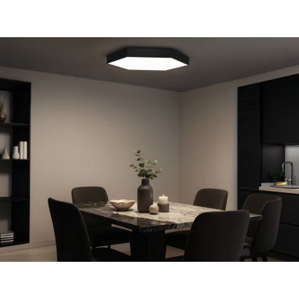 Lámpara de techo LED 135 W 230 V 3000/4000/6500 K, diámetro 80 cm, negra