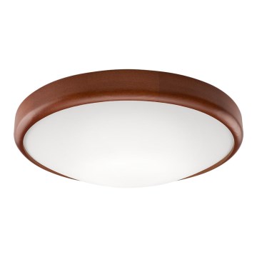 Lámpara de techo LED 1xLED/24W/230V