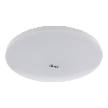 Lámpara de techo LED con sensor crepuscular y de movimiento MORETTI LED/24W/230V diámetro 30 cm IP40 6500K