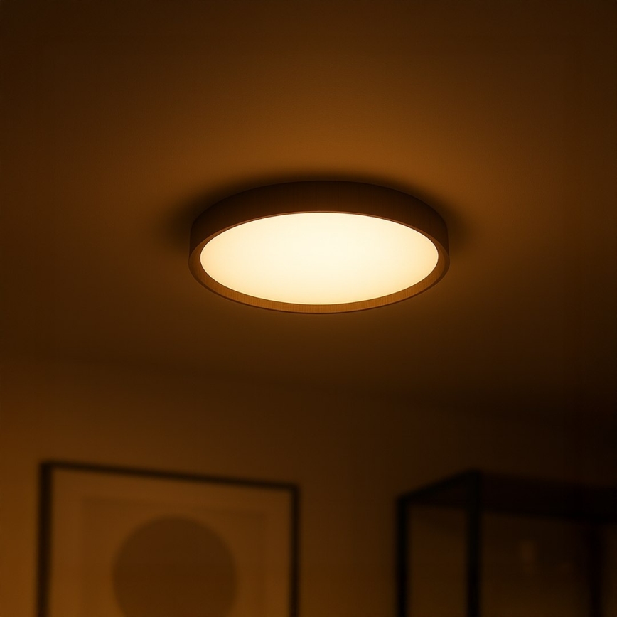 Lámpara de techo LED FOREST LED/24W/230V, Ø 39 cm, marrón
