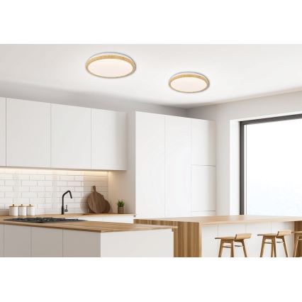 Lámpara de techo LED GANDAVA LED/24W/230V