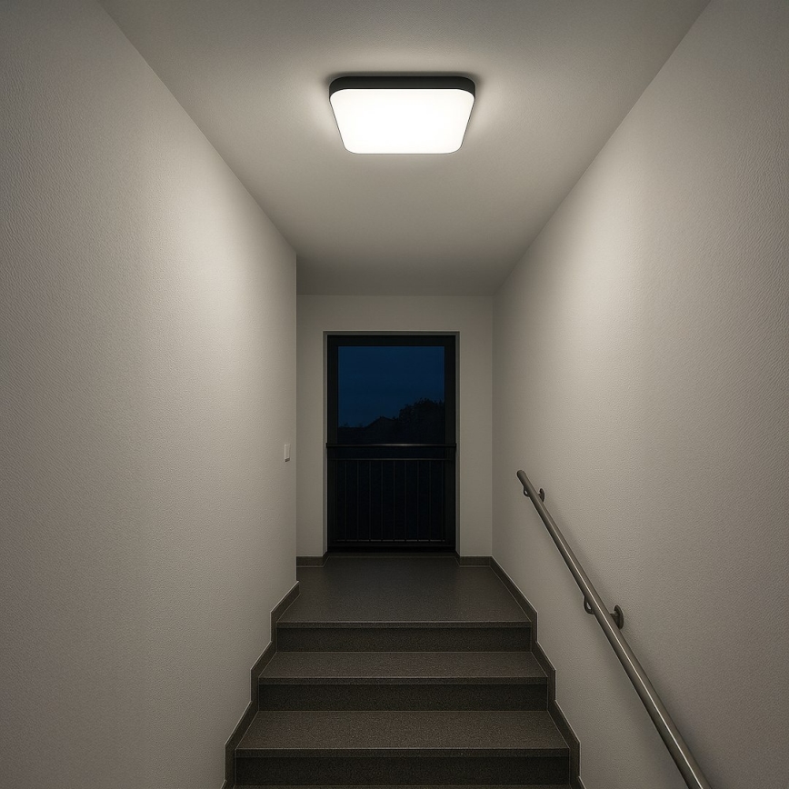Lámpara de techo LED NEMO LED/36W/230V 50x50 cm negra