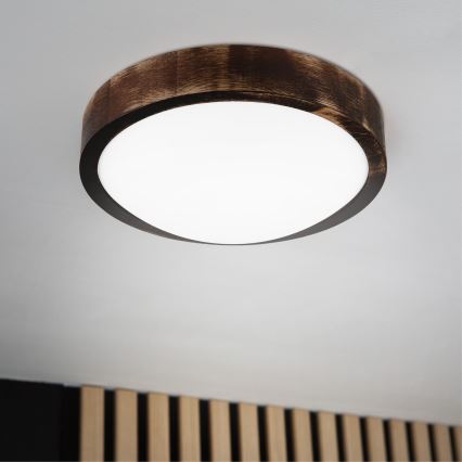Lámpara de techo LED OAK SMOKY SLIM LED/20W/230V/4000K Ø 27 cm roble/marrón oscuro