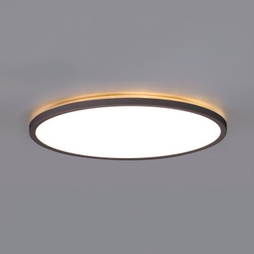 Lámpara de techo LED para baño NIVERA LED/12W/230V IP54 3000/4000/6000K diámetro 22,5 cm negro