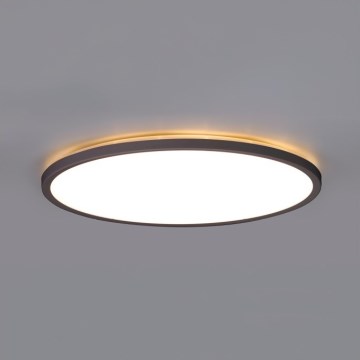 Lámpara de techo LED para baño NIVERA LED/18W/230V IP54 3000/4000/6000K Ø 30 cm negra