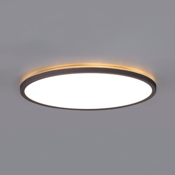 Lámpara de techo LED para baño NIVERA LED/24W/230V IP54 3000/4000/6000K diámetro 30 cm negra