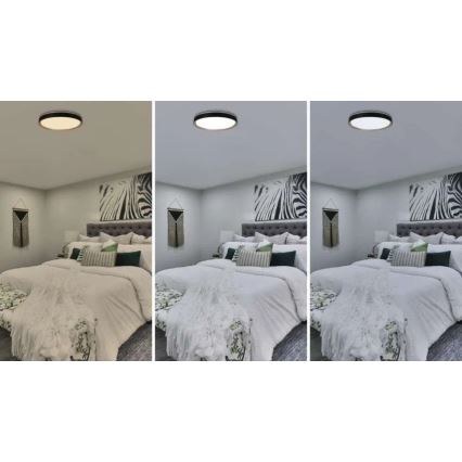 Lámpara de techo LED regulable ILVI LED/45W/230V 2700-6500K Ø 50 cm negro/beige + mando a distancia