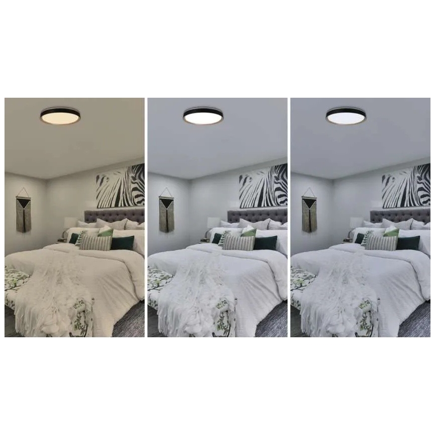 Lámpara de techo LED regulable ILVI LED/45W/230V 2700-6500K Ø 50 cm negro/beige + mando a distancia