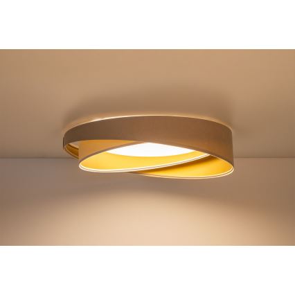 Lámpara de techo LED regulable SMART GALAXY MODERN/24W/230V 3000-6500K Ø 55 cm beige/blanco/dorado + mando a distancia