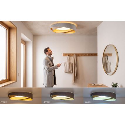 Lámpara de techo LED regulable SMART GALAXY MODERN LED/24W/230V 3000-6500K Ø 55 cm gris/beige/dorado + mando a distancia