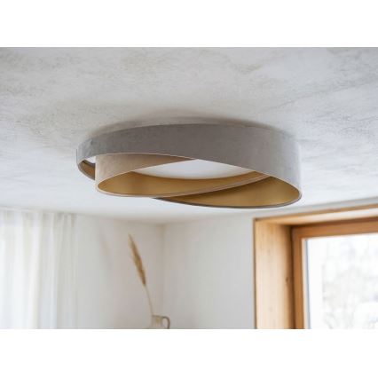 Lámpara de techo LED regulable SMART GALAXY MODERN LED/24W/230V 3000-6500K Ø 55 cm gris/beige/dorado + mando a distancia