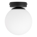 Lámpara de techo MOONLIGHT 1xE27/15W/230V Ø 16 cm negra