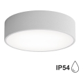 Lámpara de techo para baño CLEO con sensor, 2xE27/24W/230V, Ø 30 cm, gris, IP54