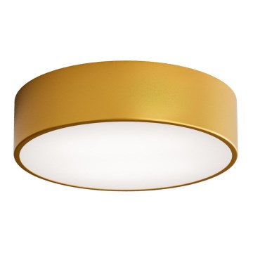 Lámpara de techo para baño con sensor CLEO, 2xE27/24W/230V, diámetro 30 cm, acabado dorado, IP54