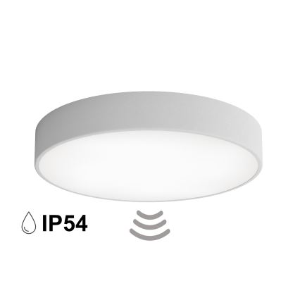Lámpara de techo para baño con sensor CLEO 4xE27/24W/230V Ø 50 cm IP54 gris