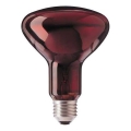 Lámpara infrarroja HELIOS R95 E27/100W/230V