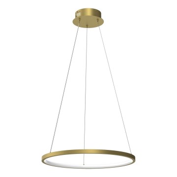Lámpara LED colgante HOOP LED/27W/230V diá. 50 cm 4000K dorado