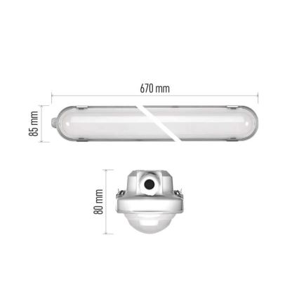 Lámpara LED de alta resistencia regulable MISTY LED/10/13/16/18W/230V 4000/6500K IP66