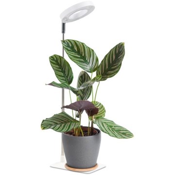 Lámpara LED de mesa regulable para cultivo de plantas VERDI LED/5W/5V 1300K IRC 95 blanca
