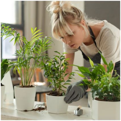 Lámpara de sobremesa LED regulable para cultivo de plantas VERDI LED/12W/230V 4500K CRI 95 blanca