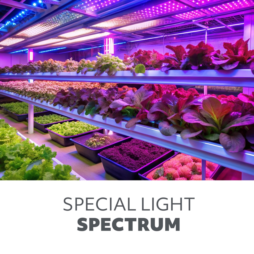 Lámpara LED debajo del gabinete para cultivar plantas GROWLY LED/15W/230W