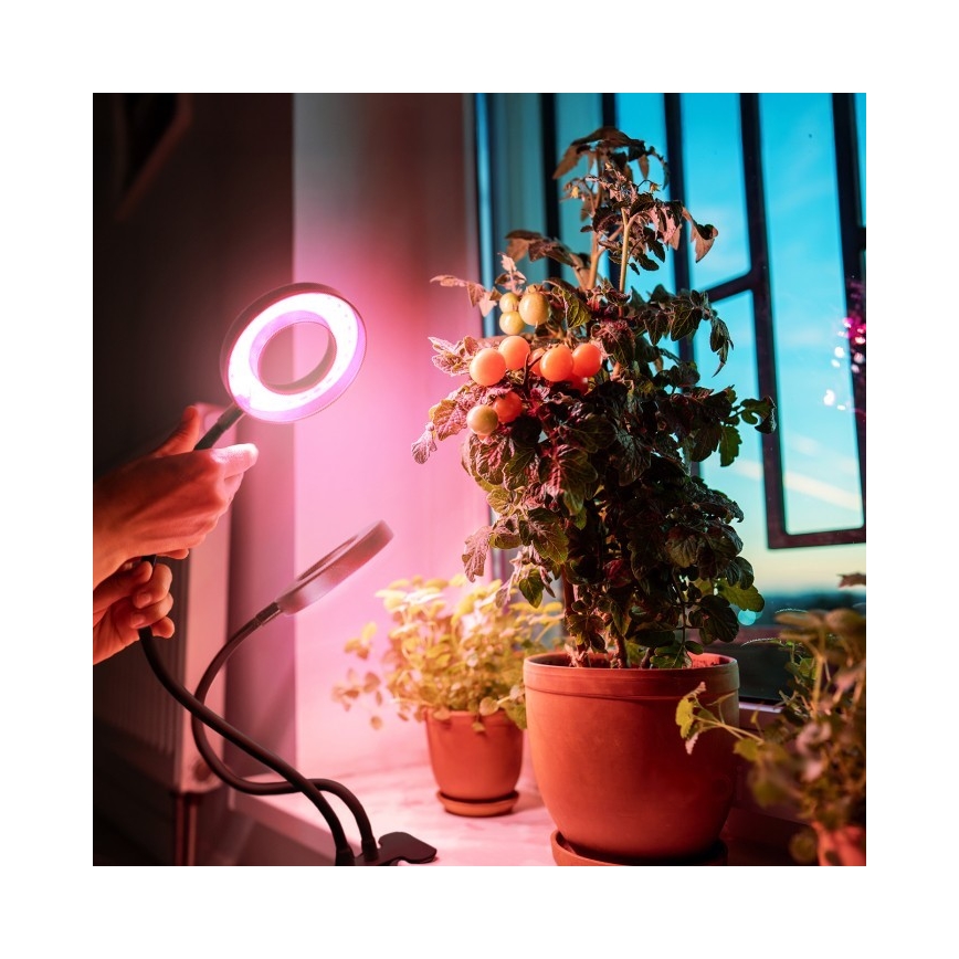 Lámpara de mesa flexible LED regulable con clip para cultivo de plantas VITARO 2xLED/4W/230V negra