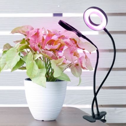 Lámpara de mesa flexible LED regulable con clip para cultivo de plantas VITARO 2xLED/4W/230V negra