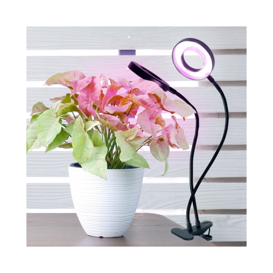 Lámpara de mesa flexible LED regulable con clip para cultivo de plantas VITARO 2xLED/4W/230V negra