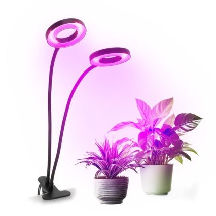 Lámpara de mesa flexible LED regulable con clip para cultivo de plantas VITARO 2xLED/4W/230V negra