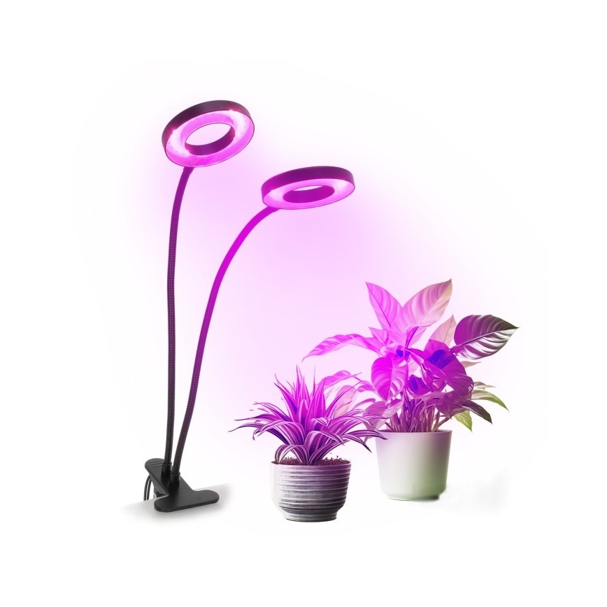 Lámpara de mesa flexible LED regulable con clip para cultivo de plantas VITARO 2xLED/4W/230V negra
