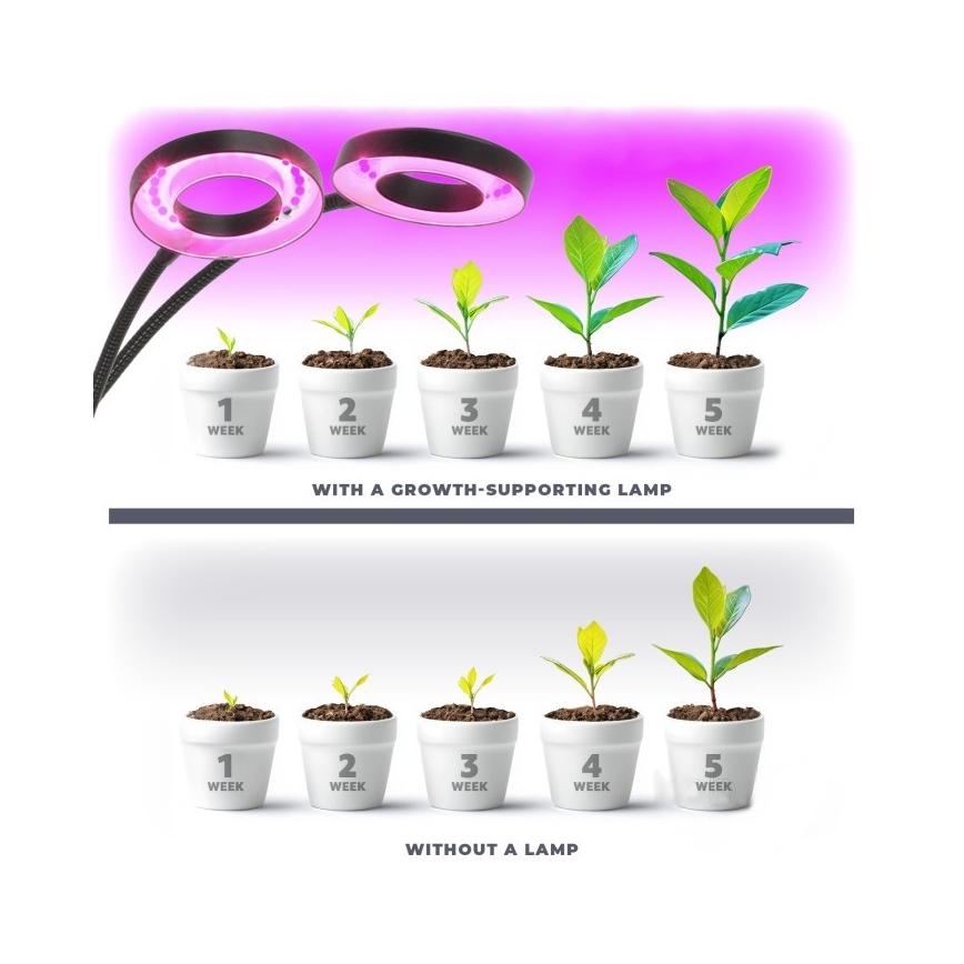Lámpara de mesa flexible LED regulable con clip para cultivo de plantas VITARO 2xLED/4W/230V negra