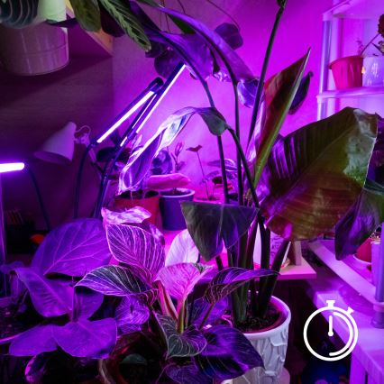 Lámpara de mesa flexible LED regulable con clip para el cultivo de plantas VITARO 3xLED/10W/230V negro