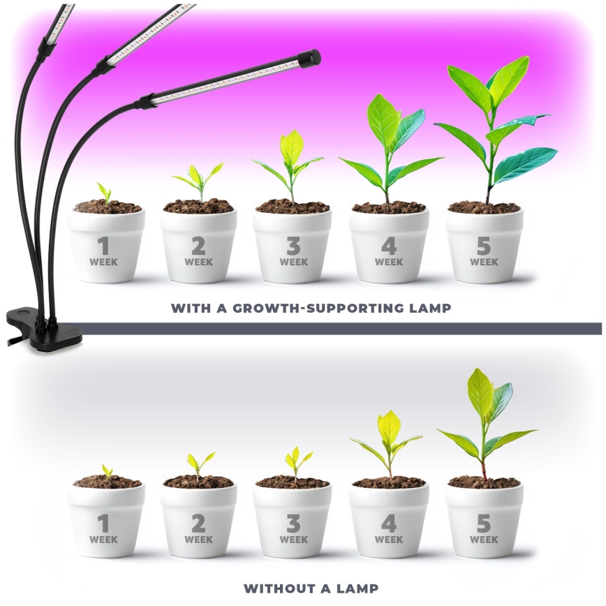 Lámpara de mesa flexible LED regulable con clip para el cultivo de plantas VITARO 3xLED/10W/230V negro