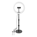 Lámpara LED regulable con soporte y soporte para vlogging LED/6W/USB 2700-6700K