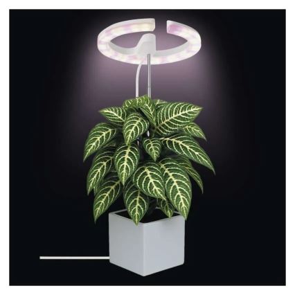 Lámpara LED regulable de interior para cultivo de plantas GROW LED/8W/5V