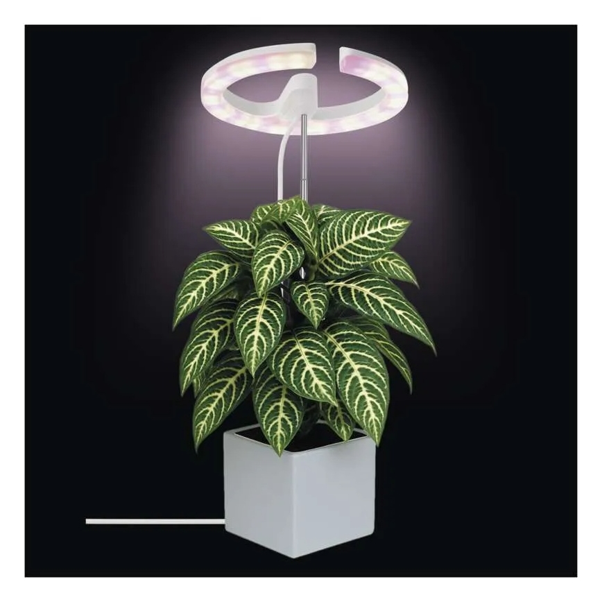 Lámpara LED regulable de interior para cultivo de plantas GROW LED/8W/5V