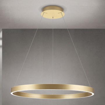 Lámpara LED regulable suspendida por cable KOLK LED/80W/230V 2700/3000/4000K Ø 80 cm dorada