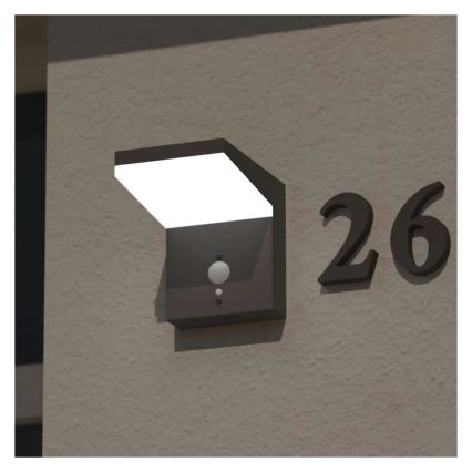 Lámpara de pared solar LED con sensor LED/4,4W/3,7V 2200 mAh IP44