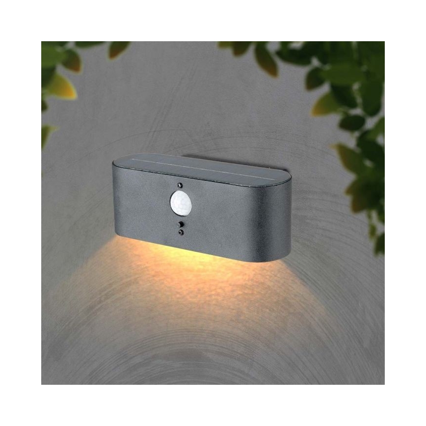 Lámpara solar LED de pared para exterior con sensor LED/2,5W/3,7V 3000K IP54 2000 mAh