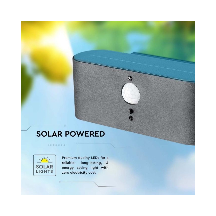 Lámpara solar LED de pared para exterior con sensor LED/2,5W/3,7V 3000K IP54 2000 mAh
