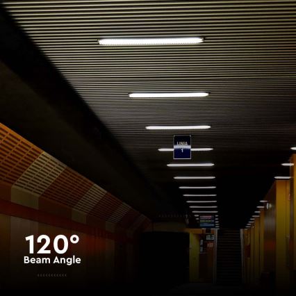Lámpara técnica LED fluorescente LED/18W/230V 4000K IP65 60 cm