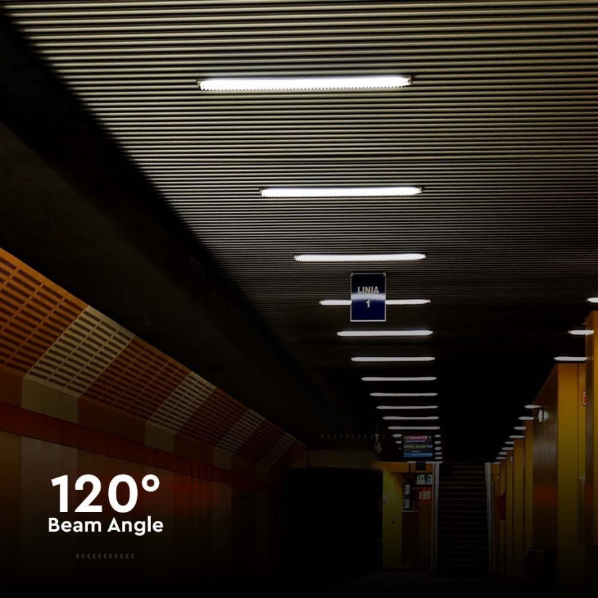 Lámpara técnica LED fluorescente LED/48W/230V 6500K IP65 150 cm