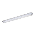 Lámpara técnica LED fluorescente T8 2xG13/18W/230V IP65