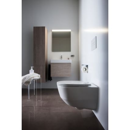 LAUFEN H8109620001041 - Lavabo de encimera/colgante PRO 55x46,5 cm cerámica/blanco