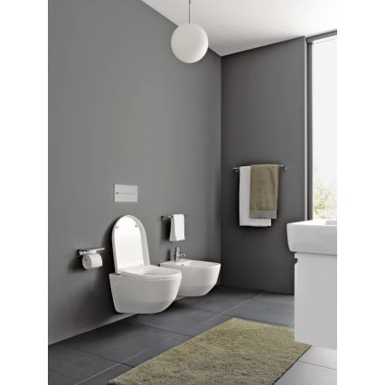 LAUFEN H8209590000001 - Inodoro suspendido PRO cerámica/blanco