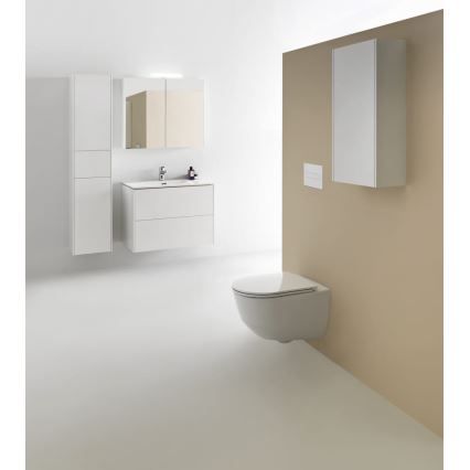 LAUFEN H8209650000001 - Inodoro suspendido PRO cerámica/blanco