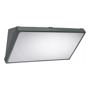 LED aplique de pared exterior con sensor de movimiento LED/20W/230V IP65 gris
