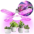 LED Bombilla para cultivo de plantas PLANTY E27/40W/230V 1200K
