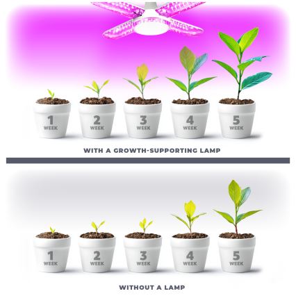 LED Bombilla para cultivo de plantas PLANTY E27/40W/230V 1200K