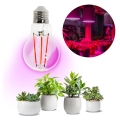 LED Bombilla para cultivo de plantas PLANTY E27/8W/230V 1200K
